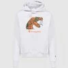 Champion HBCU FAMU HOODIE