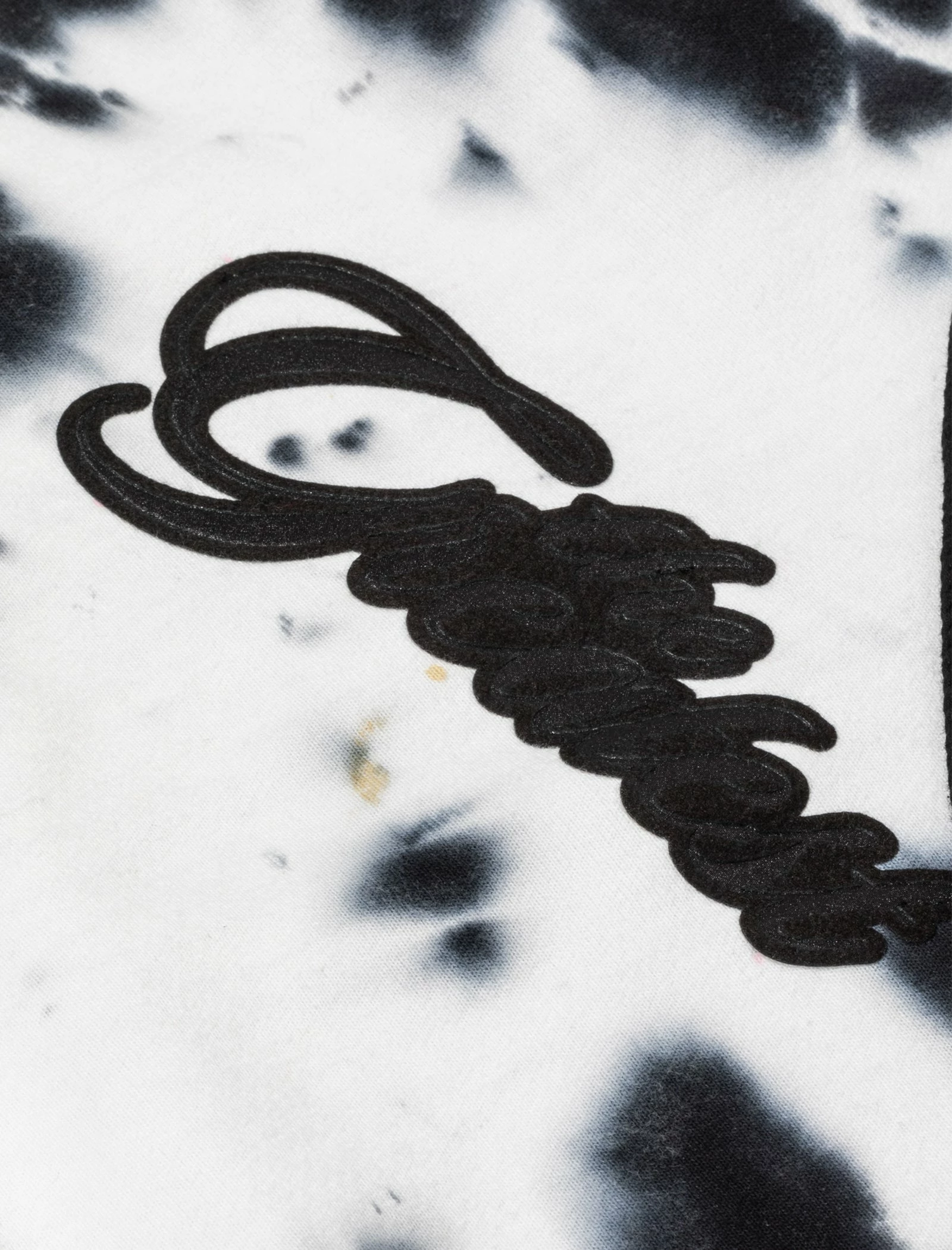 Champion ALI GREATEST HOODIE - Image 3