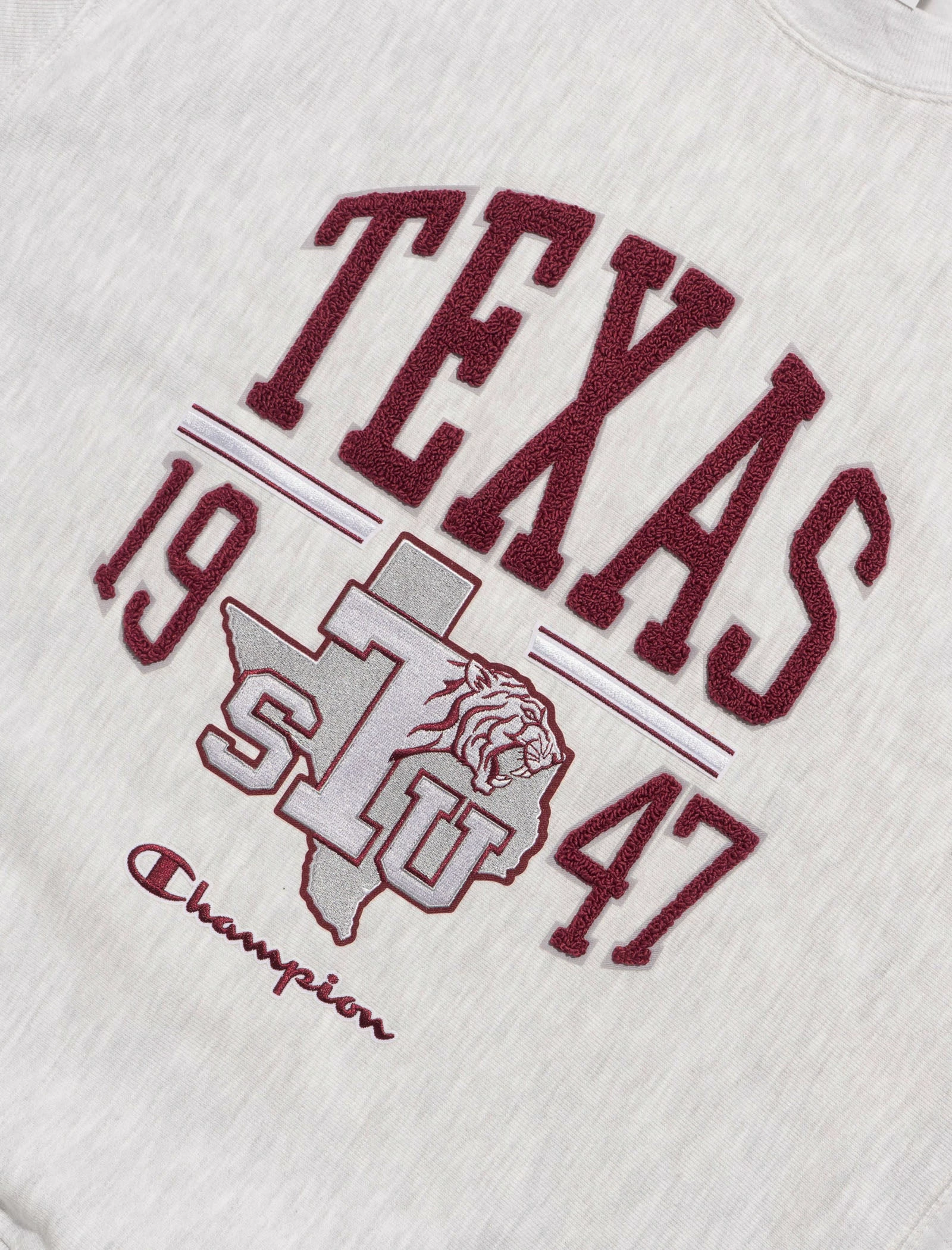 Champion HBCU TEXAS SOUTHERN CREWNECK - Image 2