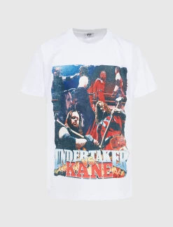 DO NOT DISTURB. UNDERTAKER AND KANE